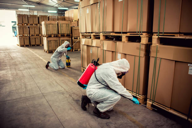 Reliable Independence, OR Pest Control Solutions