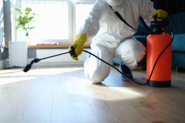 Professional Pest Control in Independence, OR
