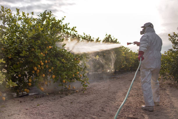 Best Pest Removal Services  in Independence, OR