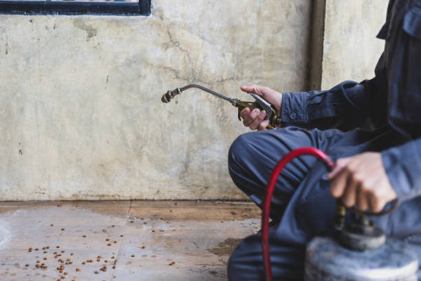 Best Affordable Pest Control Services  in Independence, OR